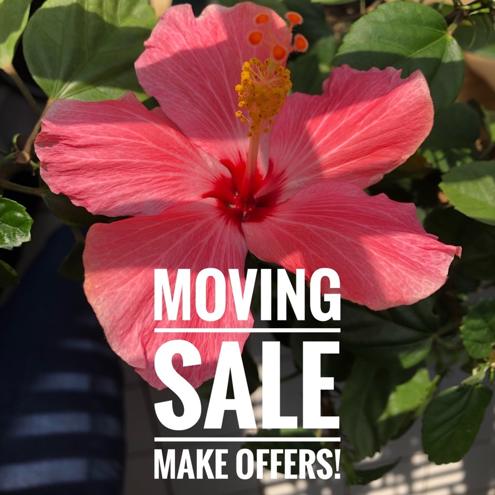 MOVING SOON!